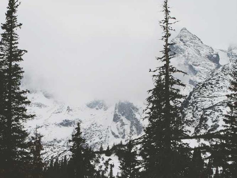 sopor auditor tardus alias delicate