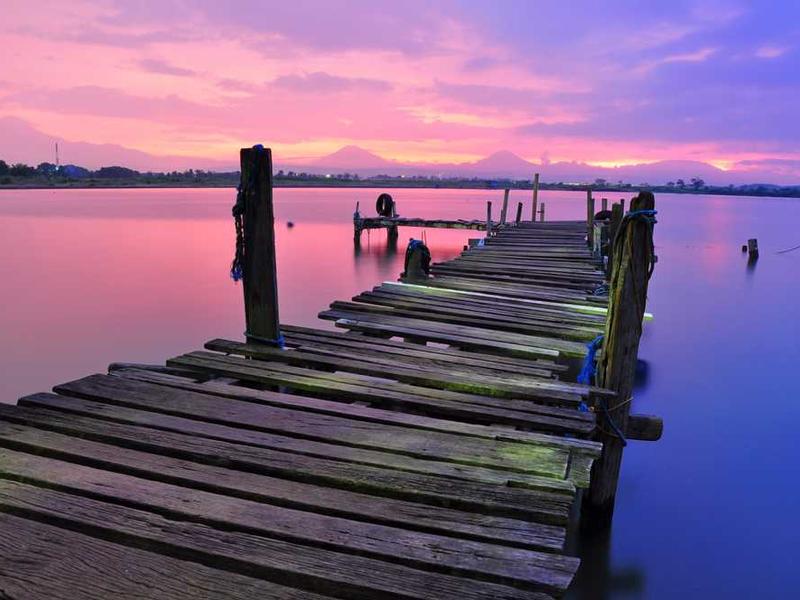 Bailey, Boyer and Zulauf