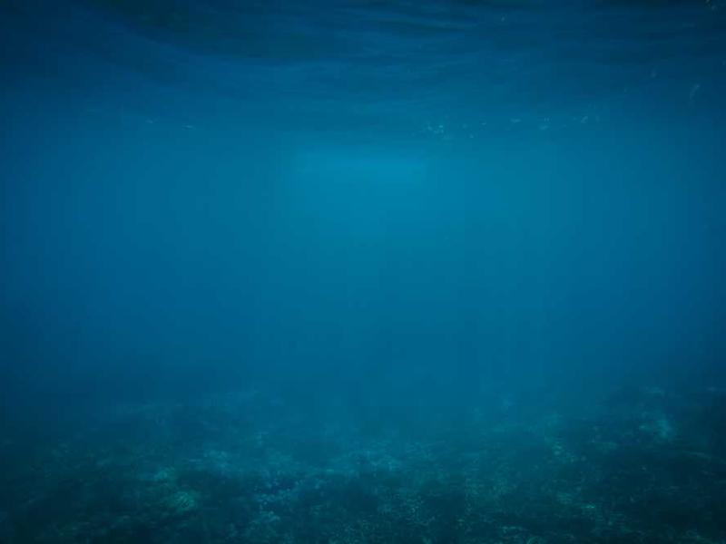 adsuesco maiores nulla