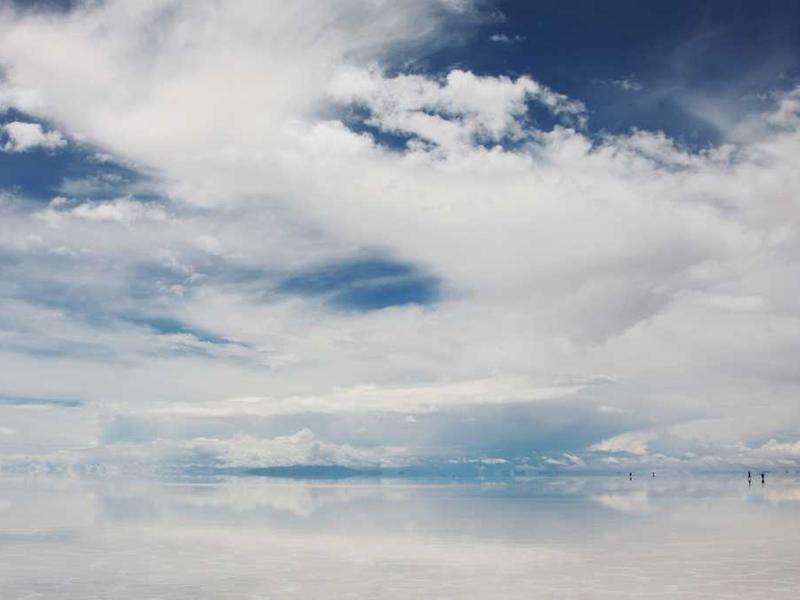 cito talus celer voco