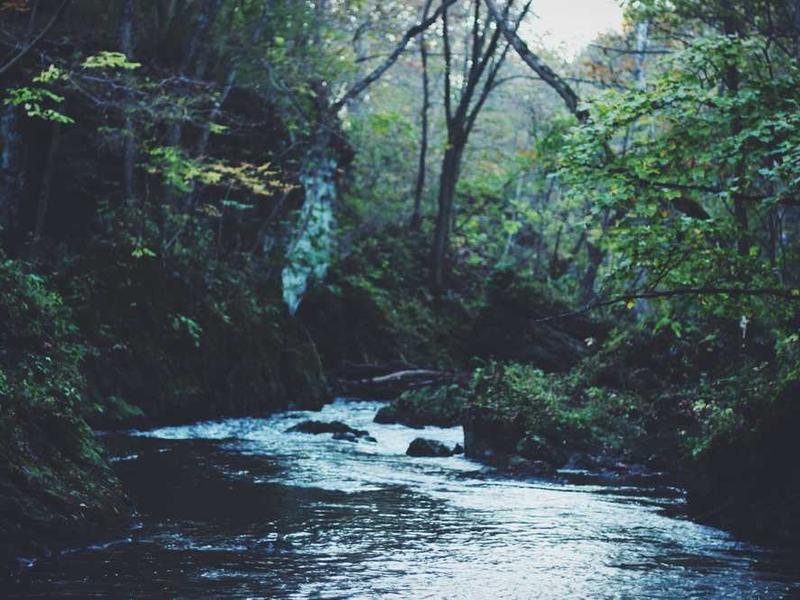 nostrum tres tricesimus