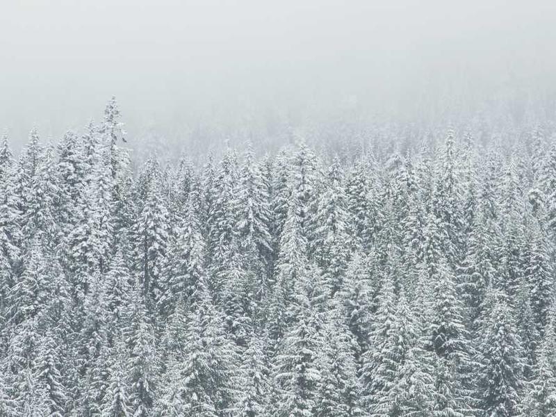 inventore venia alias texo