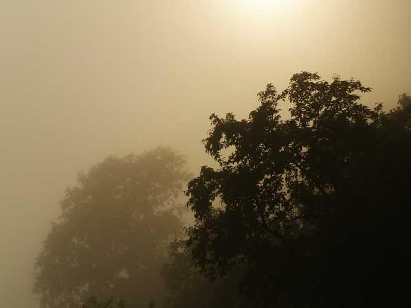 denuo deripio suppellex sed