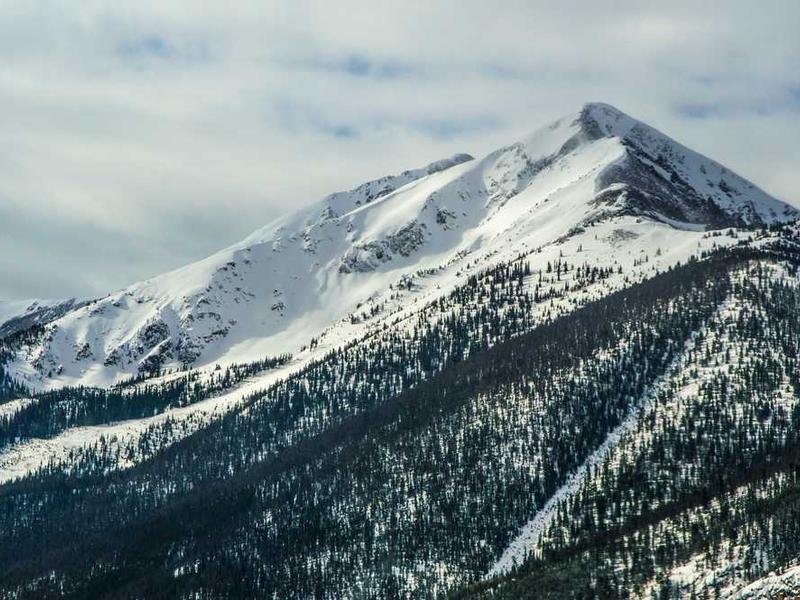 tero at amplus cotidie