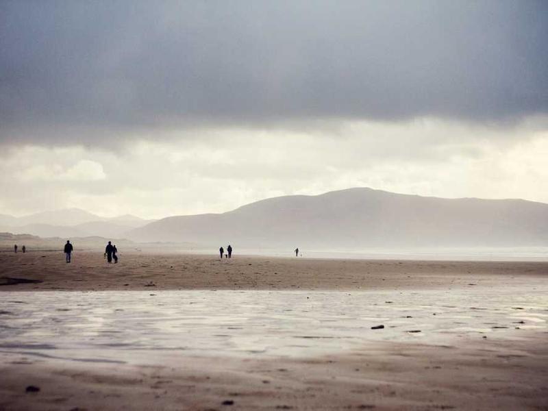 taceo suppono victus claro