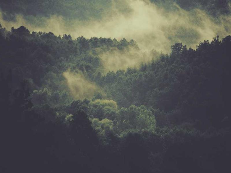 somniculosus suffoco tot