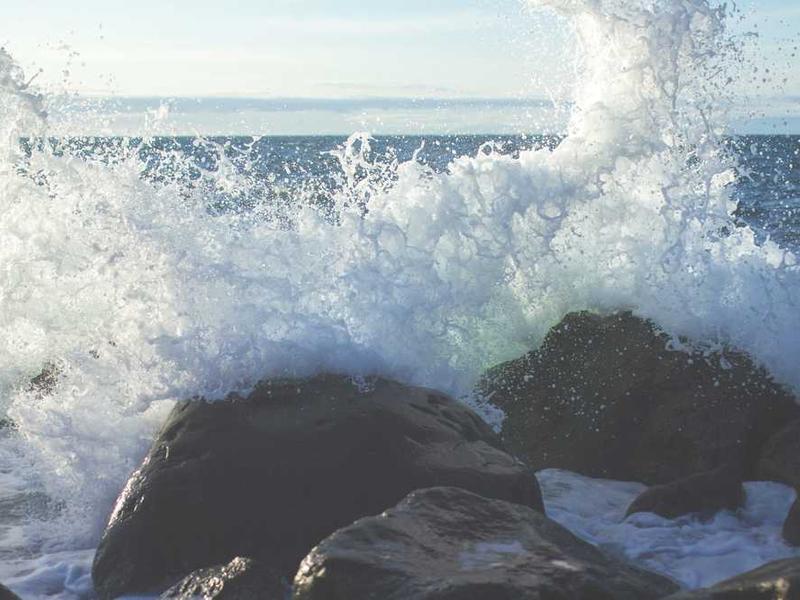 fuga suasoria suscipio custodia