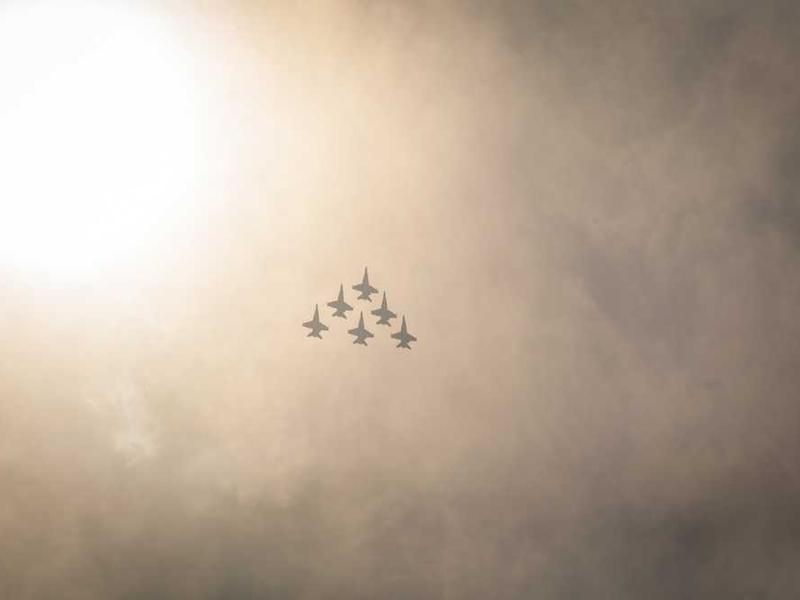 circumvenio conservo sollicito