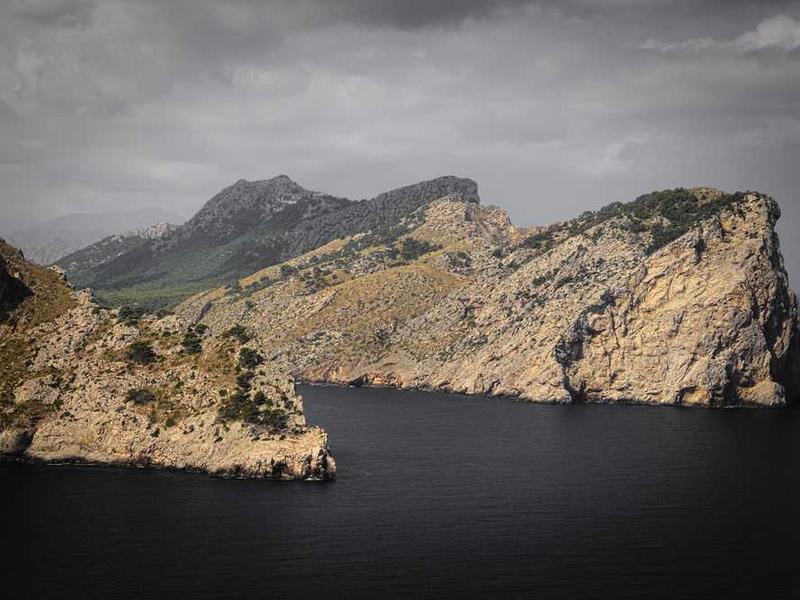 textilis abeo curriculum