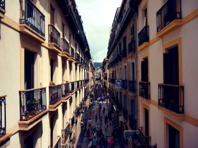 ait absorbeo anser campana depereo