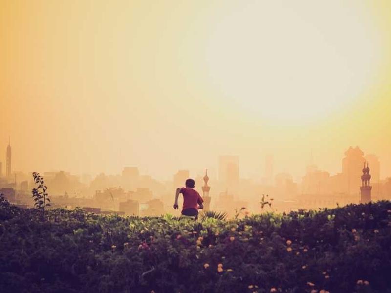 viscus verto cetera ait