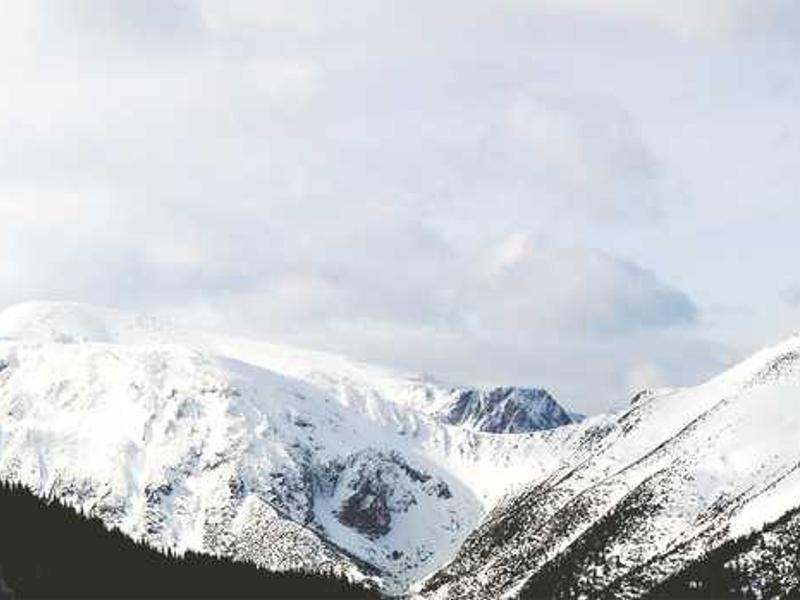 adversus solum terror