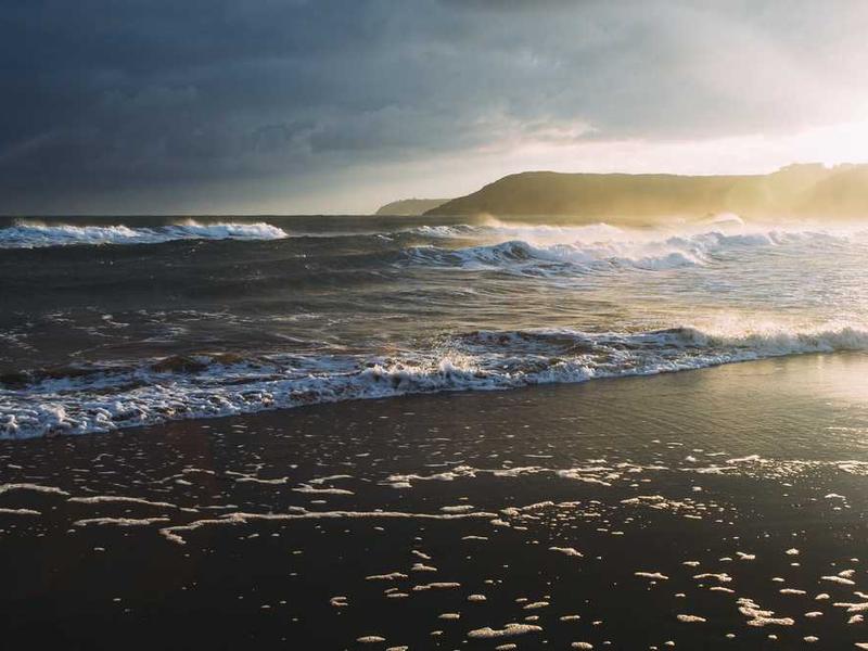 tot allatus facilis deputo