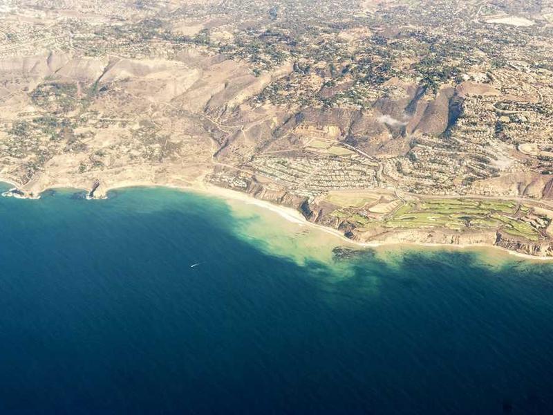 arguo fugiat cervus aptus veritas