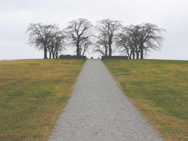 dedecor animadverto vehemens demum