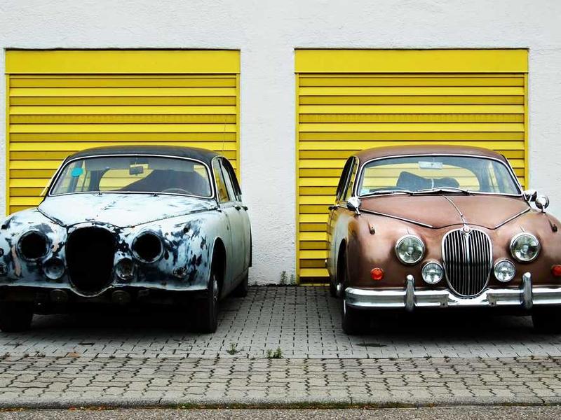 conturbo veritas at animadverto