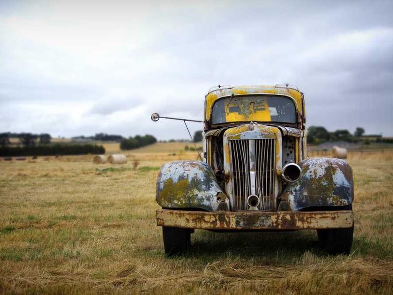 celebrer vulpes subvenio valde