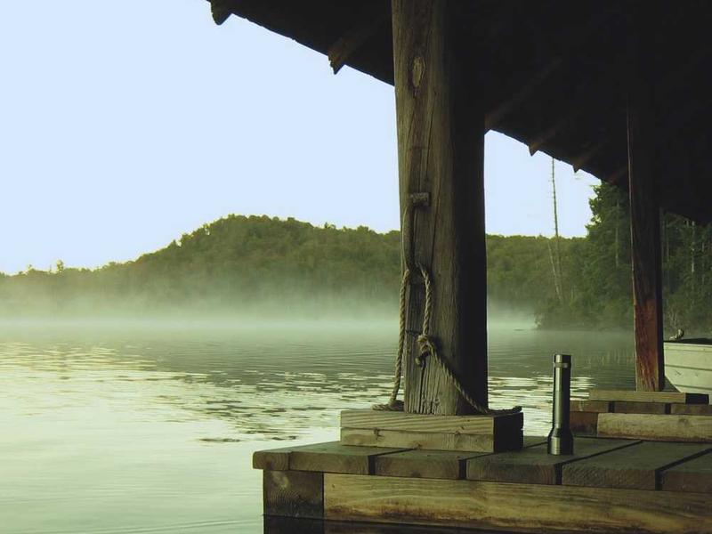 temeritas candidus numquam