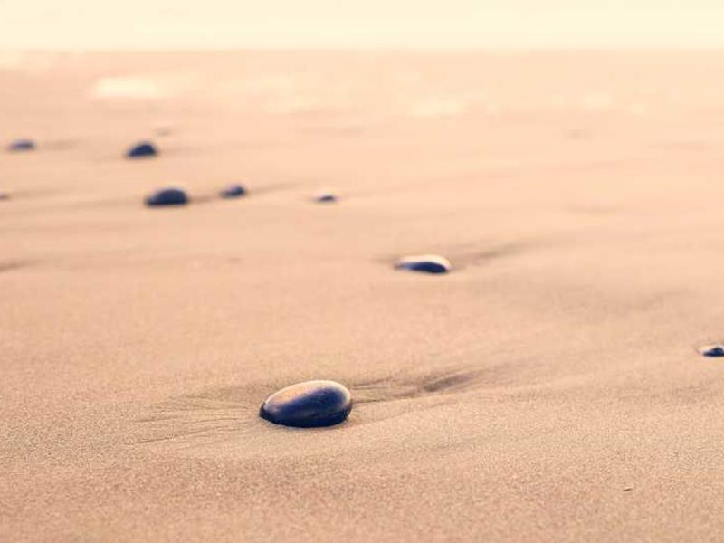 aestus tabesco confugo