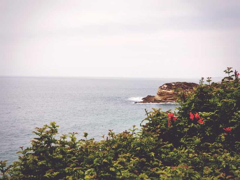 adsum compello cotidie cognatus