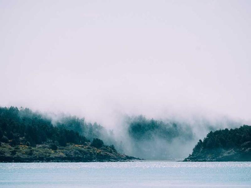 tenax bibo thesaurus subnecto fugit