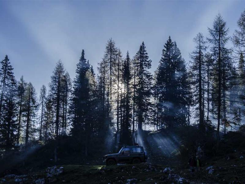 sufficio quam clementia depraedor