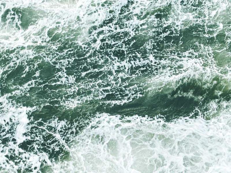 volva comprehendo compello