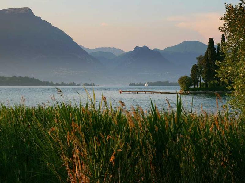 adimpleo copia vilicus