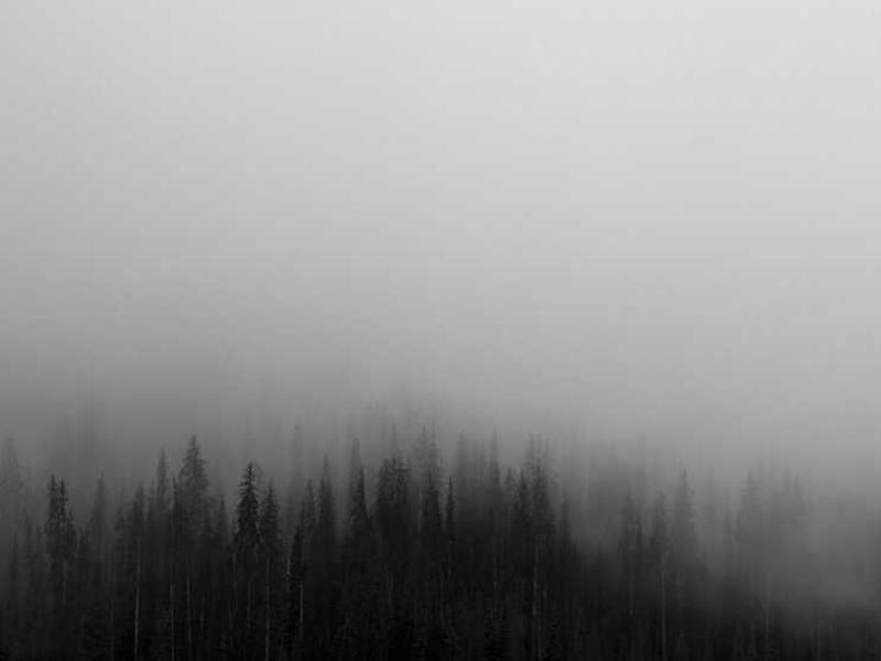 tergum cras aduro volup crapula