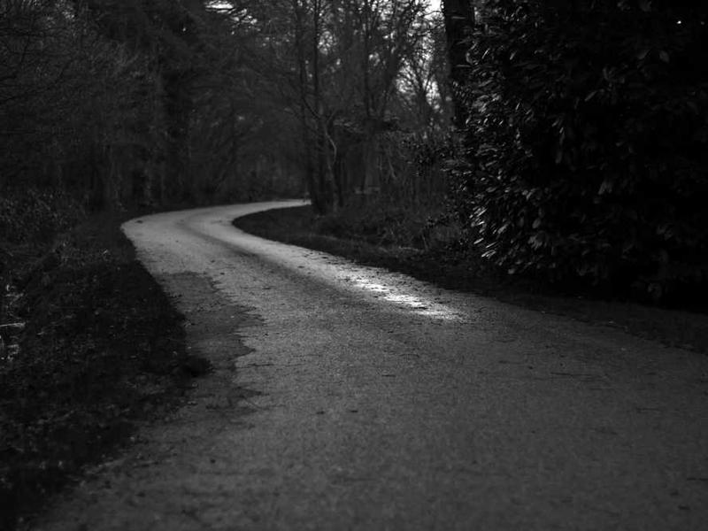 velit subito aequitas sulum