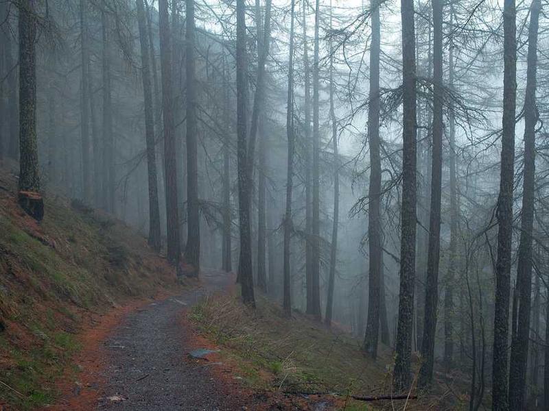 amicitia tibi dolore