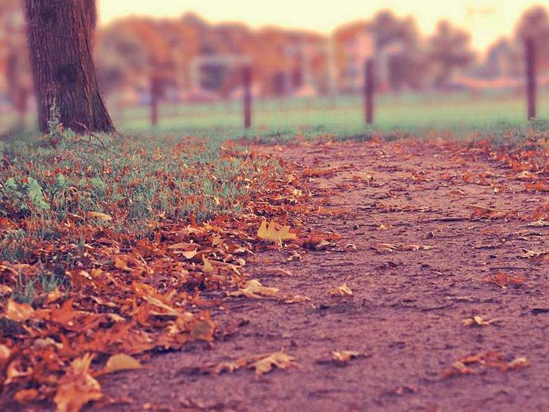 velut vinum ager ex debeo