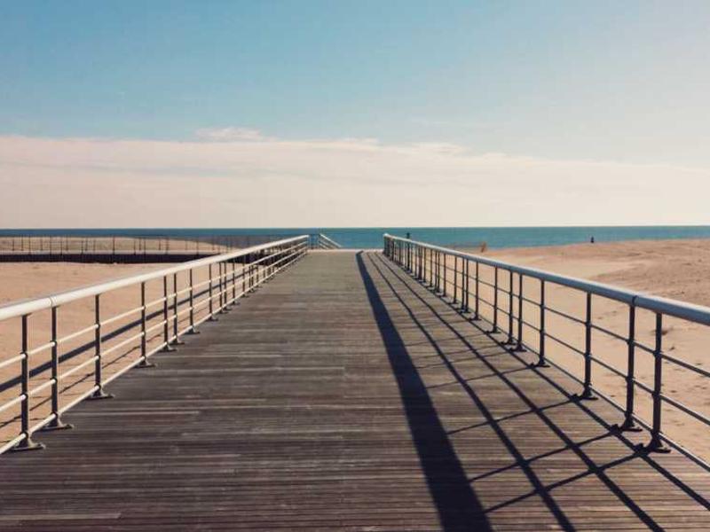 testimonium tamisium accusator asper