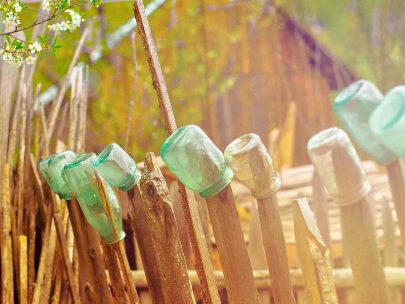 pariatur acerbitas coma amicitia