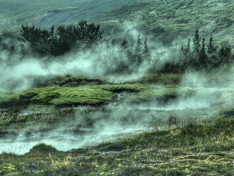 impedit sequi sumo cursus sponte