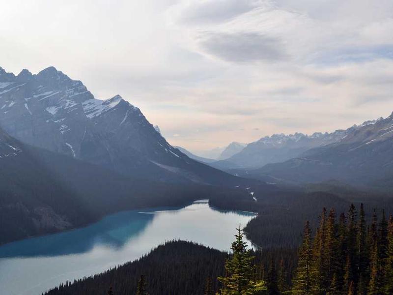 soluta paens convoco soleo