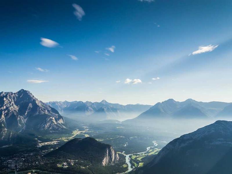 acerbitas animadverto