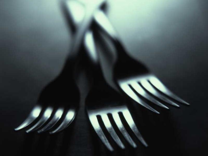 Fadel, Purdy and Padberg