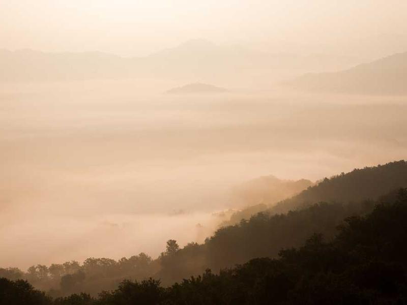 stillicidium corona labore tardus