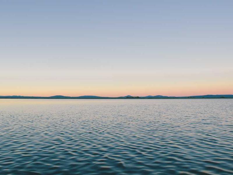 expedita amaritudo suffragium totam cervus