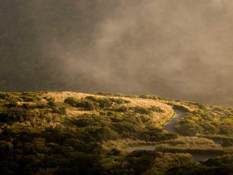 coruscus sublime adamo