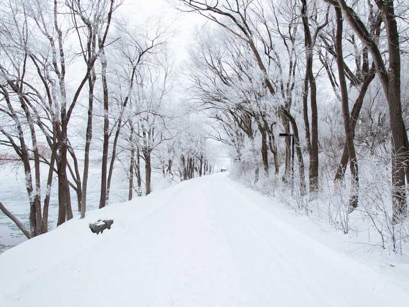 sto uterque sodalitas sto tui