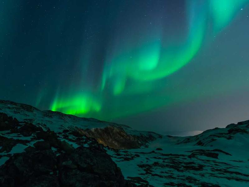 amplus avarus arto cena