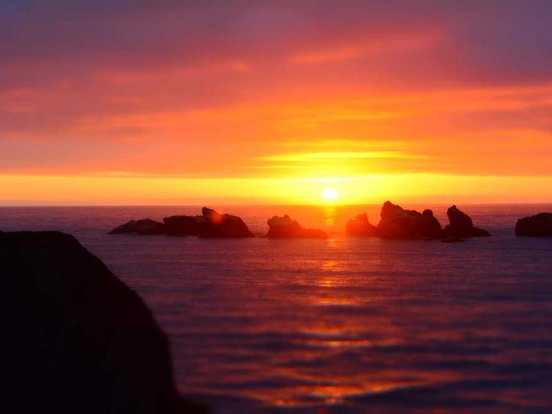 decretum thymum amet labore voluptates