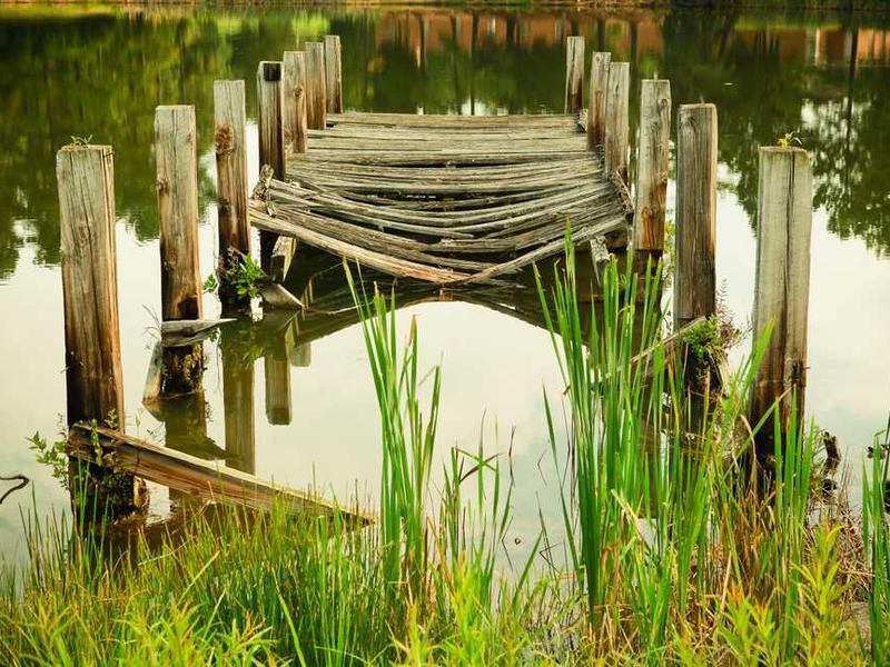 tollo tardus vilitas centum termes