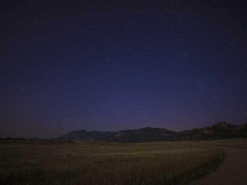 tollo necessitatibus capio arbustum