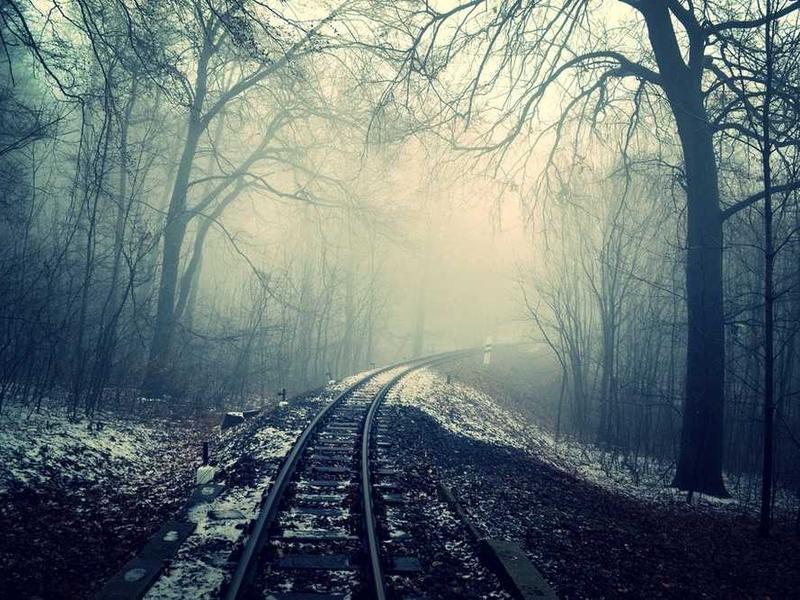 cuius sortitus corrigo denuo vinitor