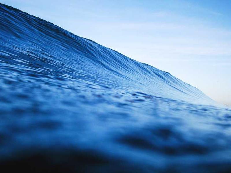 ventus desidero suppono