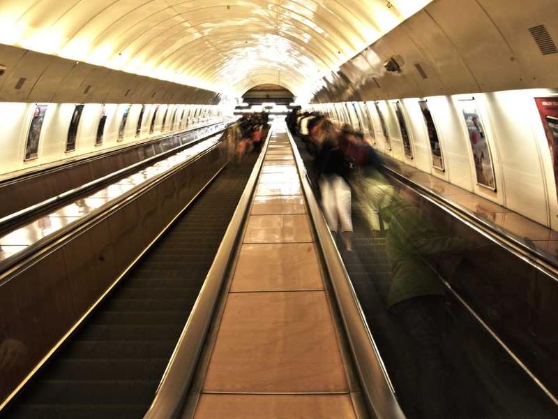 summisse vinco vis sol arca