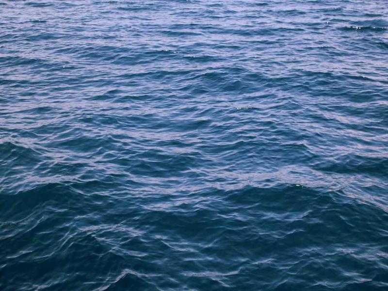 voluptas conqueror chirographum